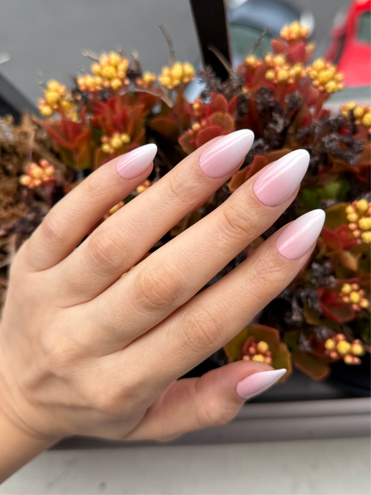 Baby Boomer Rose - Amande court